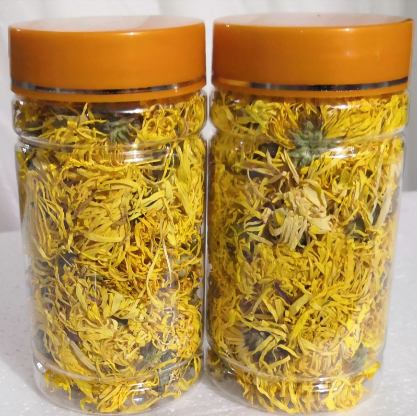 金丝皇菊2灌